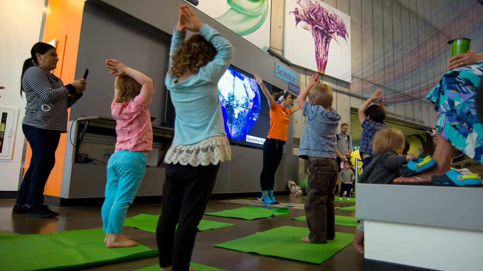 Young yogis practicing yoga 