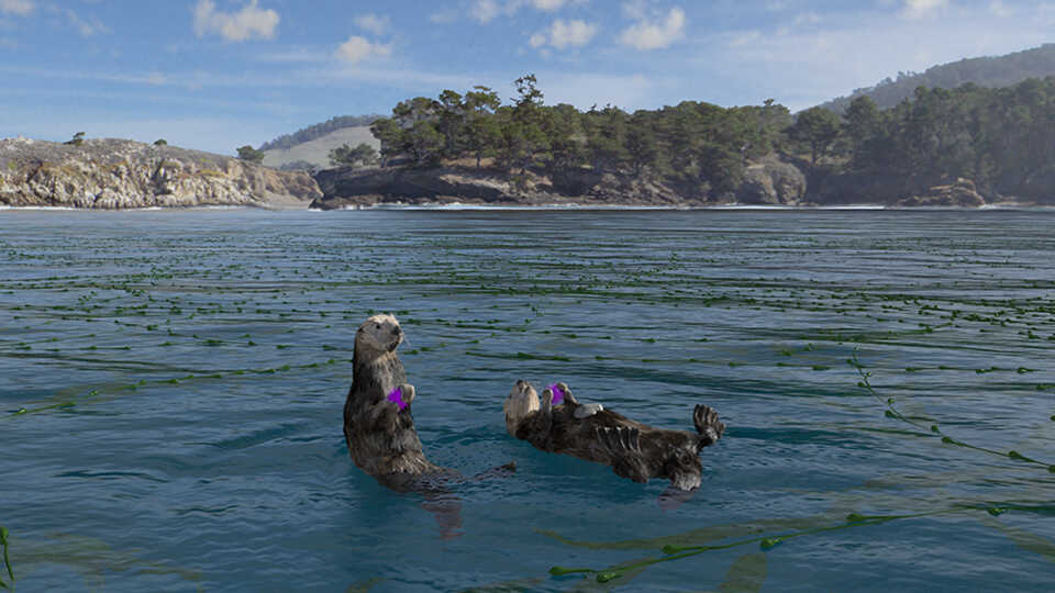 Sea otters in Habitat Earth