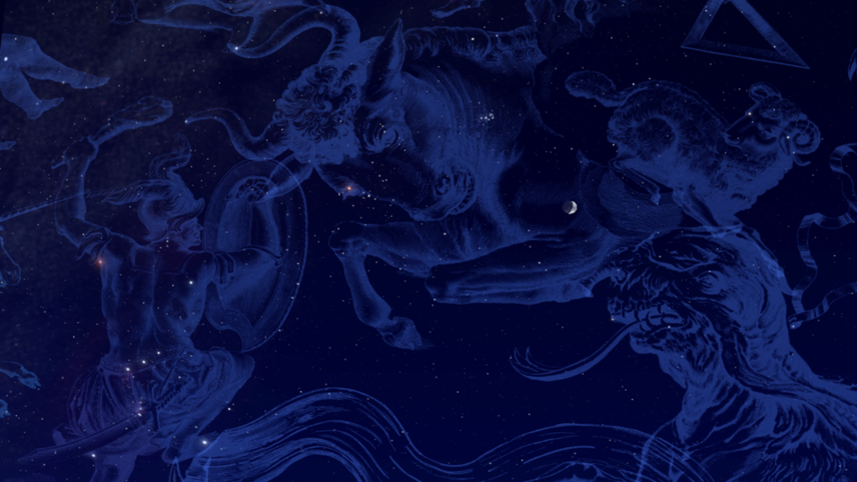 calacademy tour of the night sky nightlife morrison planetarium