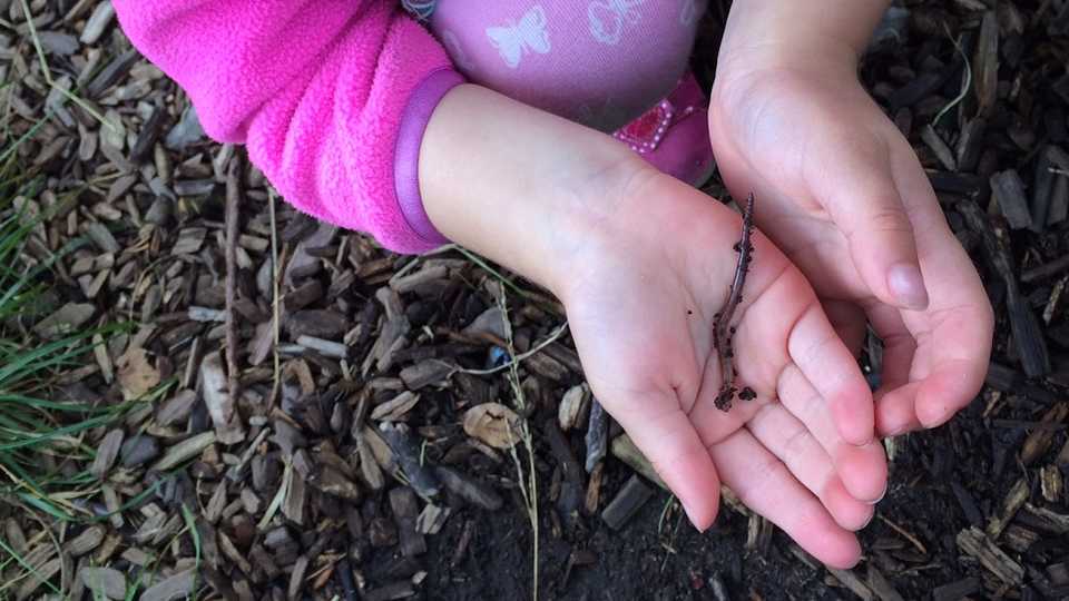 A girl holds an earthworm in her hands
