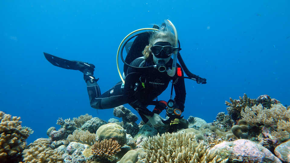 Academy scientists Dr. Rebecca Albright underwater exploring a coral reef