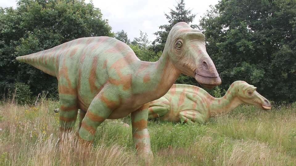 Life-size models of 2 Maiasaura dinosaurs in a grassy area