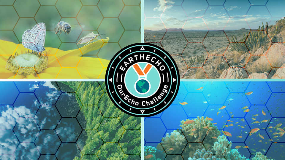 Four ecosystems for OurEco Challenge