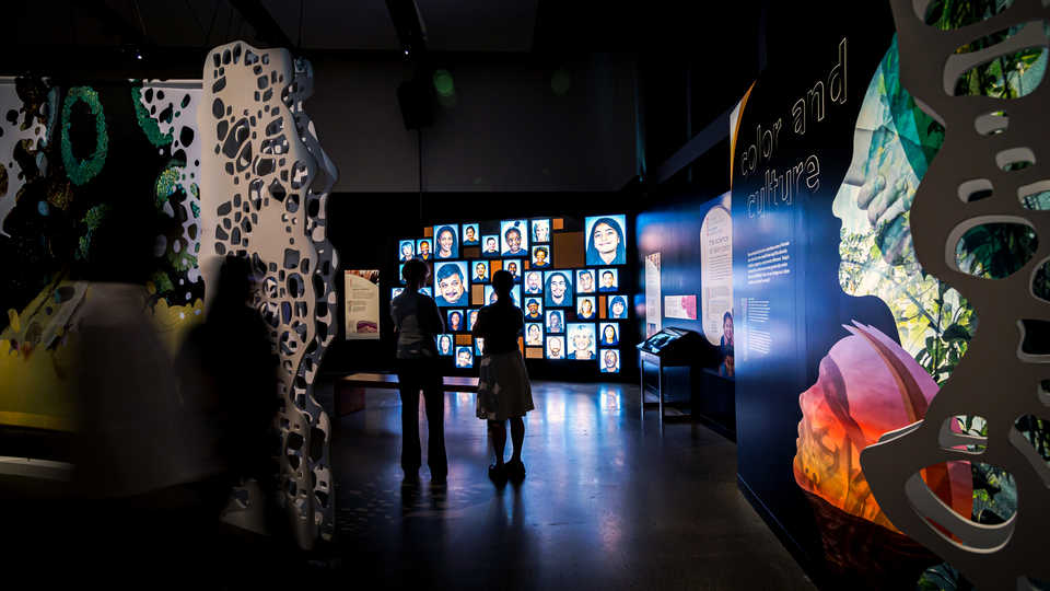 Guests check out the digital portrait wall in the Skin exhibit